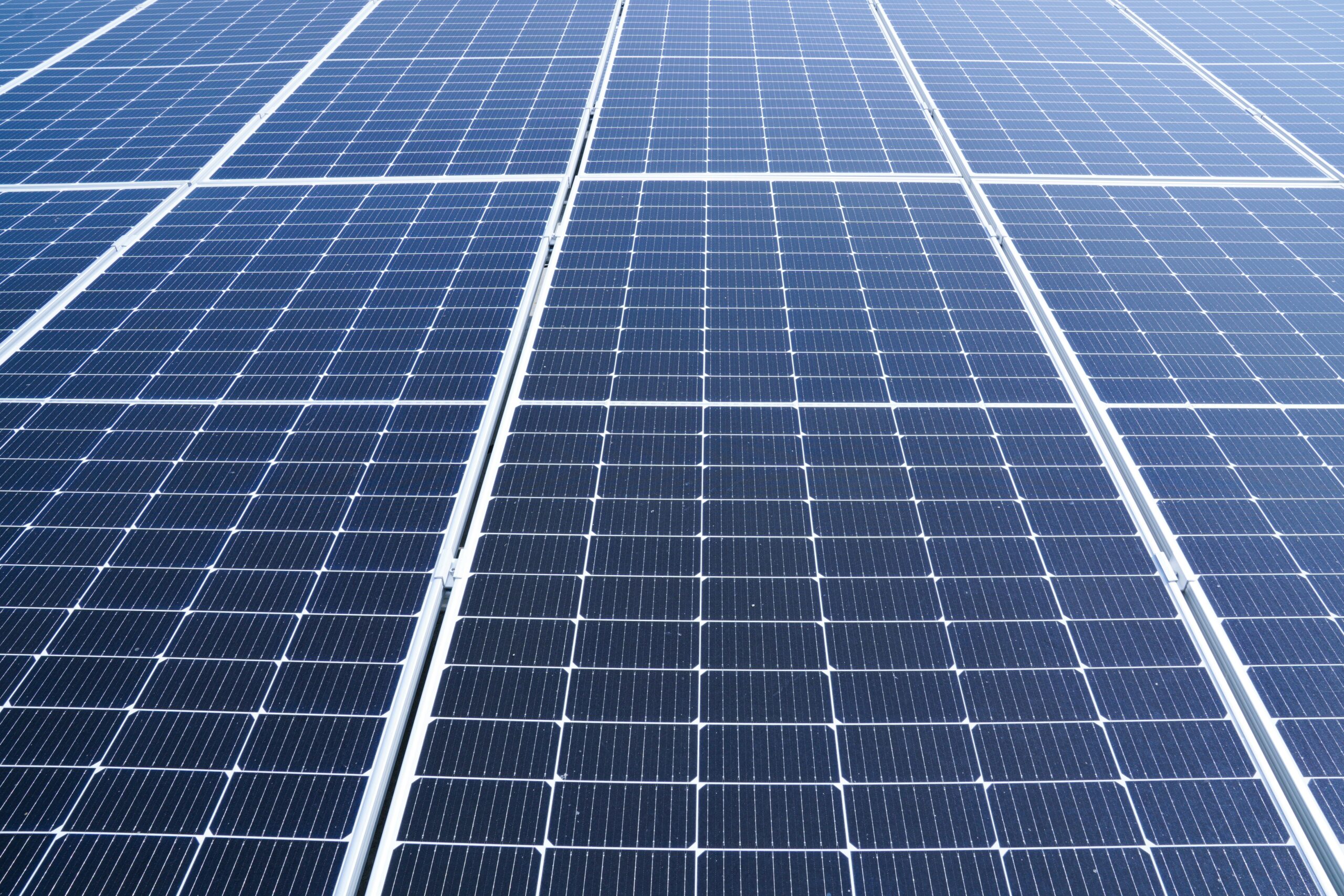 Photovoltaik-Module in der Nahaufnahme
